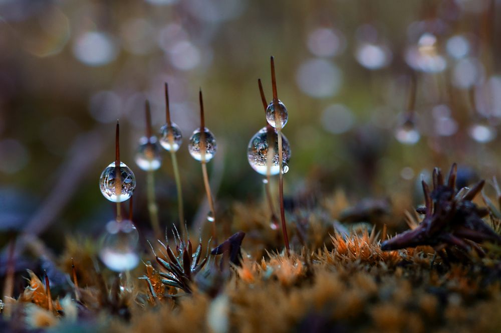 Photograph by Федор Кованский