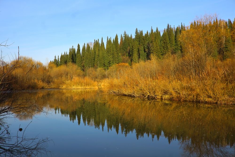 Осень - кошка в рыжих сапогах