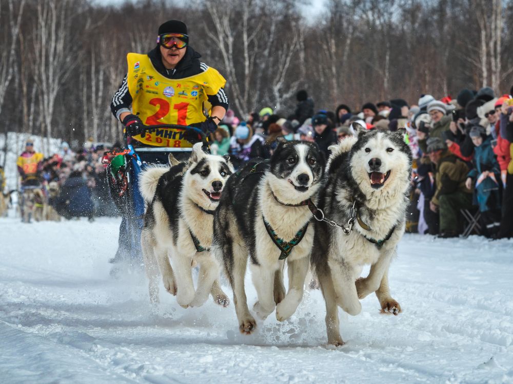 Photograph by Евгений Житников