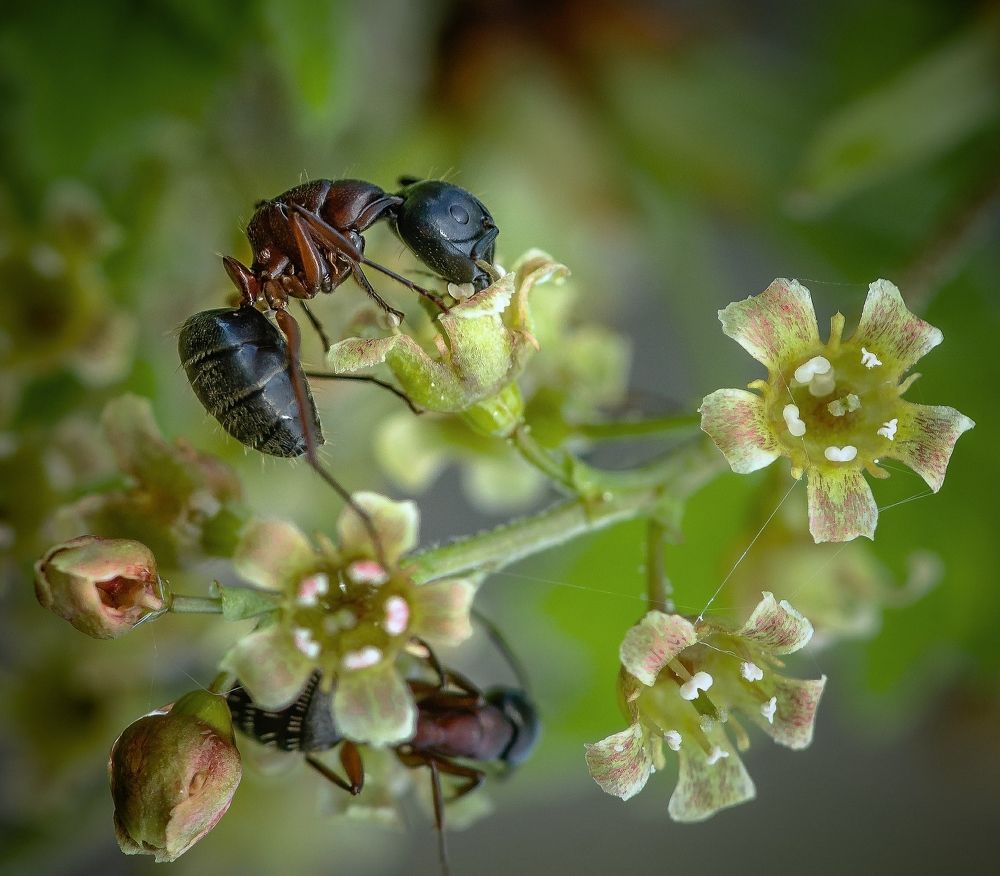 Photograph by Федор Кованский