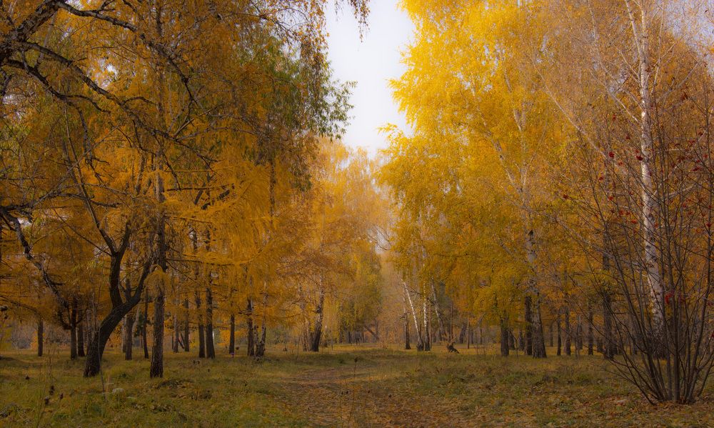 Photograph by Владимир Ануфриенко