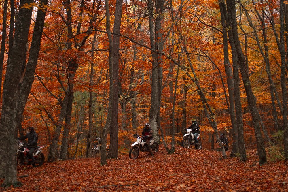 Photograph by Екатерина Щербакова