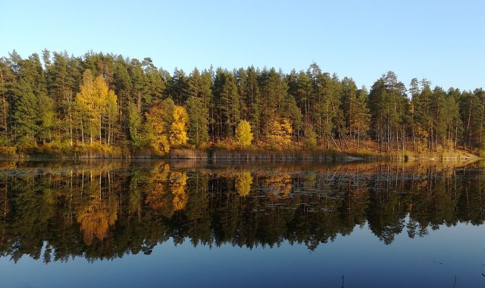 Photograph by Светлана Батурова