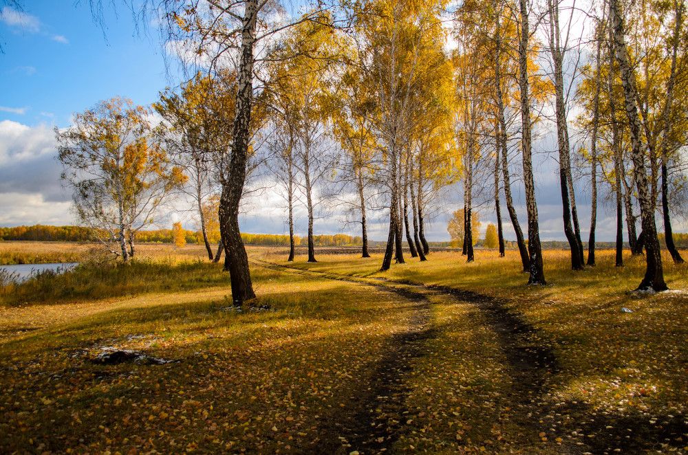 Photograph by Алексей Кузнецов