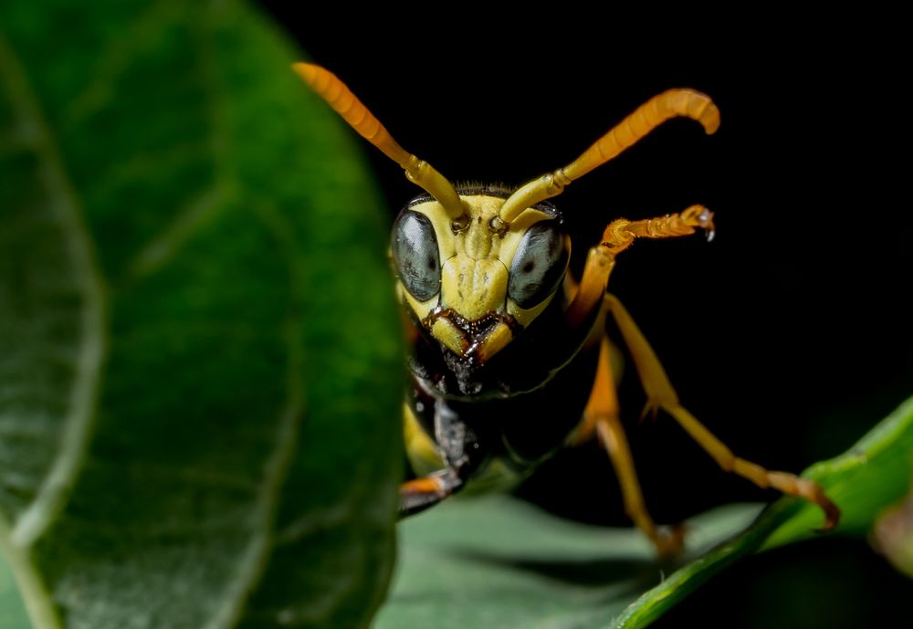Photograph by Семко Александр