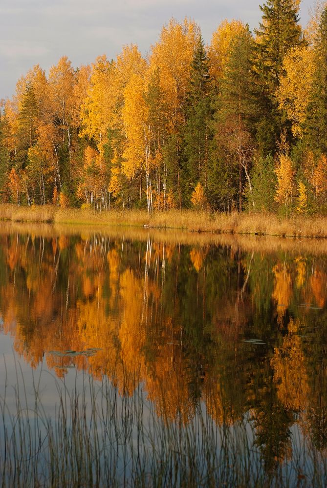 Photograph by Геннадий Тикка