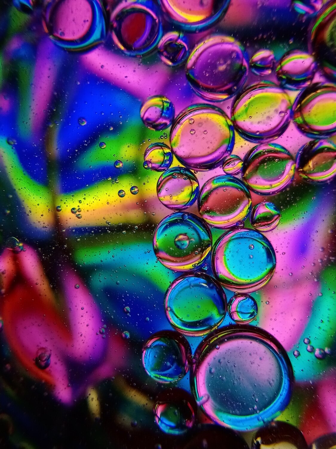 Photo #6625339