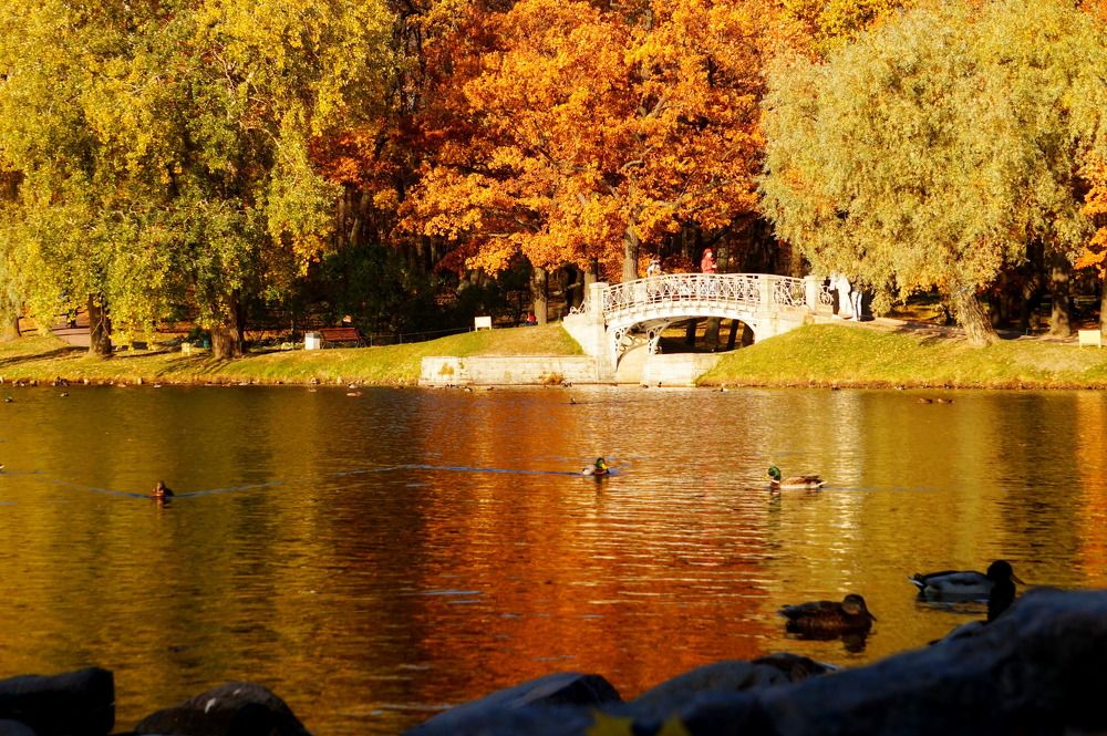 Photograph by Юлия Ганюшина