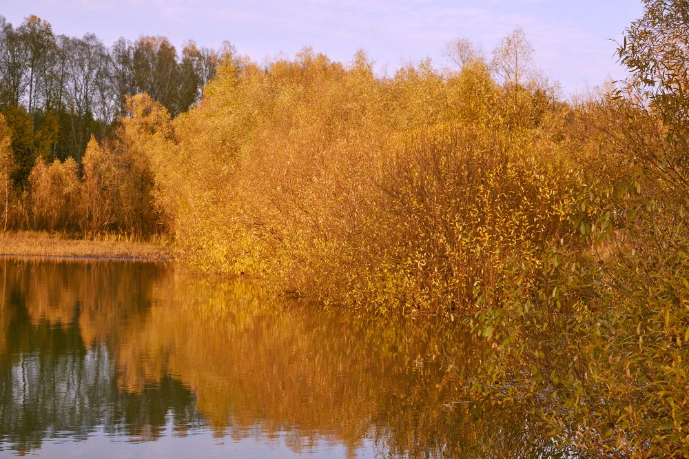Photograph by Анастасия Тупицына