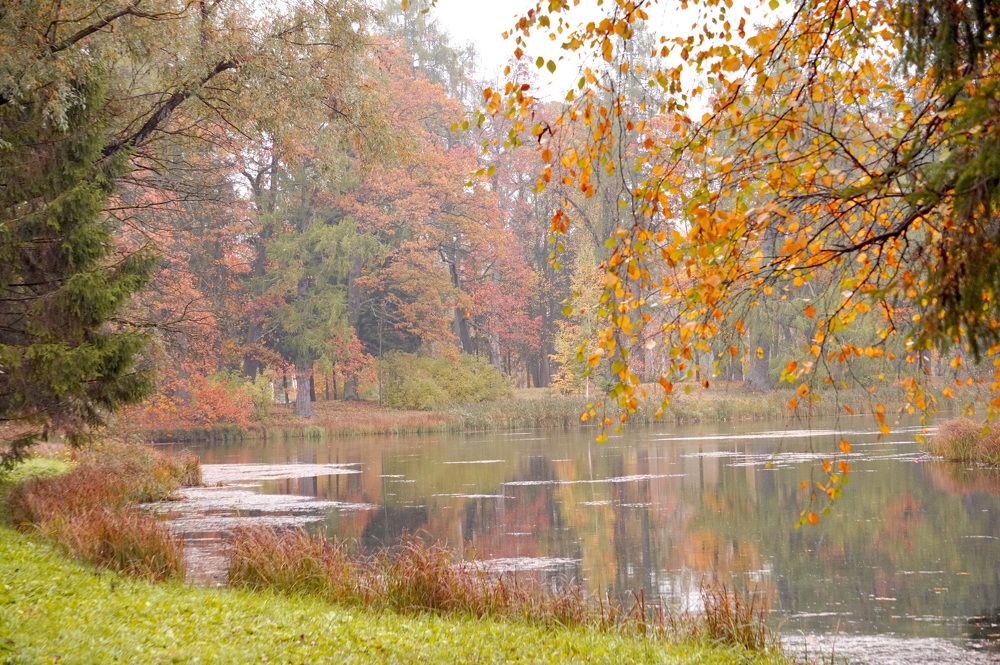 Унылая пора, очей очарованье