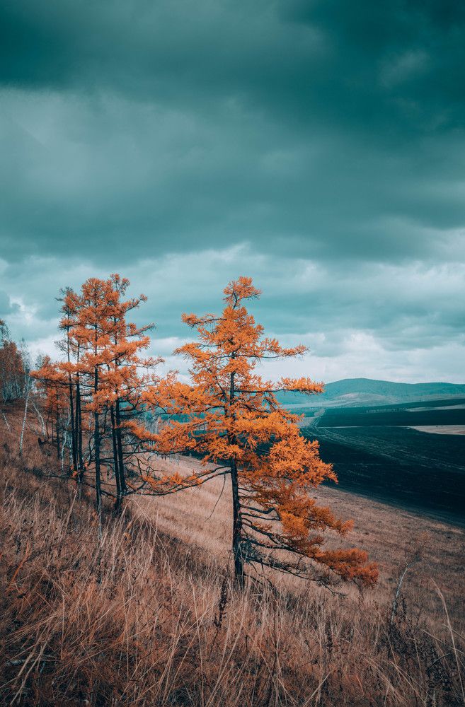 Photograph by Денис Рузаев