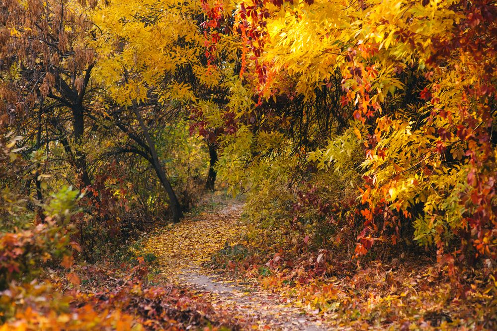 Photograph by Елена Чистякова