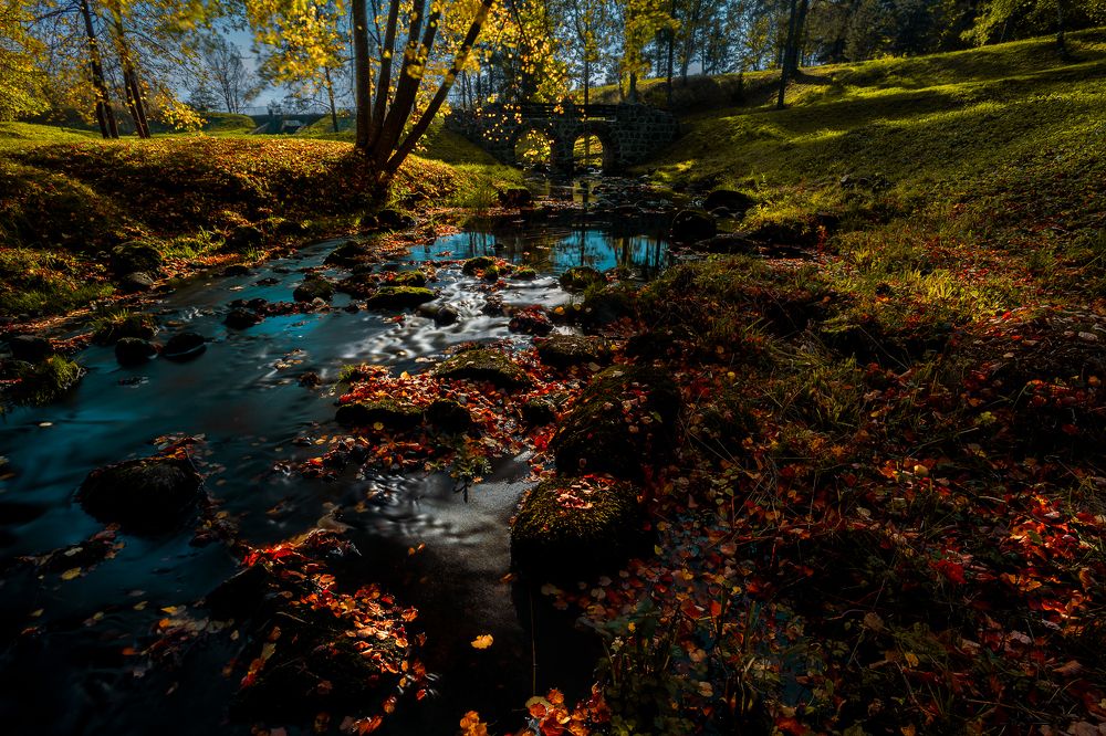 Photograph by Dmitry Yudchenko