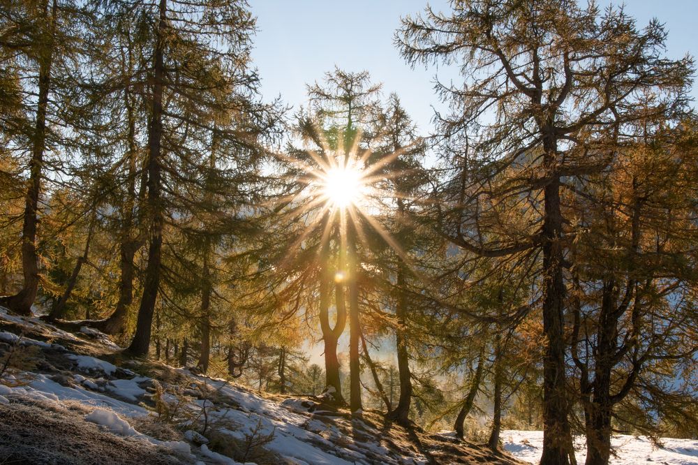 Photograph by Jernej Peljhan