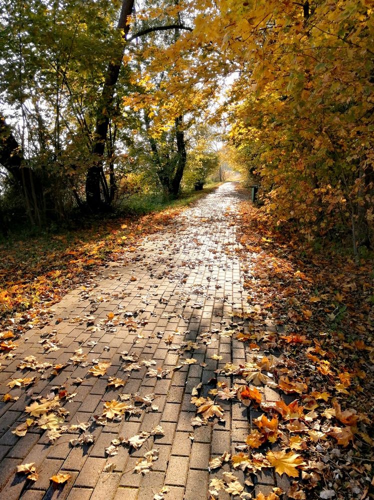 Photograph by Ольга Шинкевич