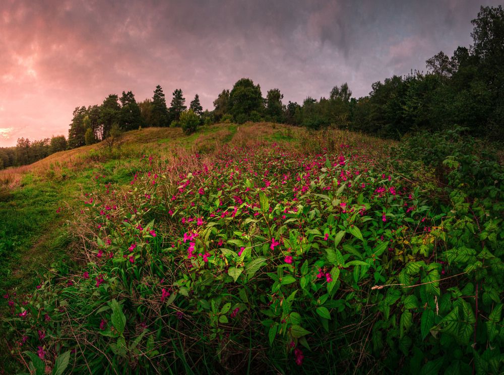 Photograph by Семён Кузнецов