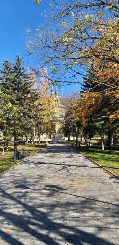 Фотография автора Елена Давидян
