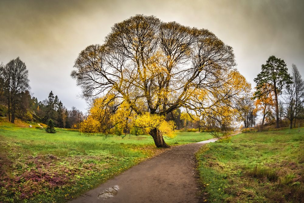 Осенний Монрепо