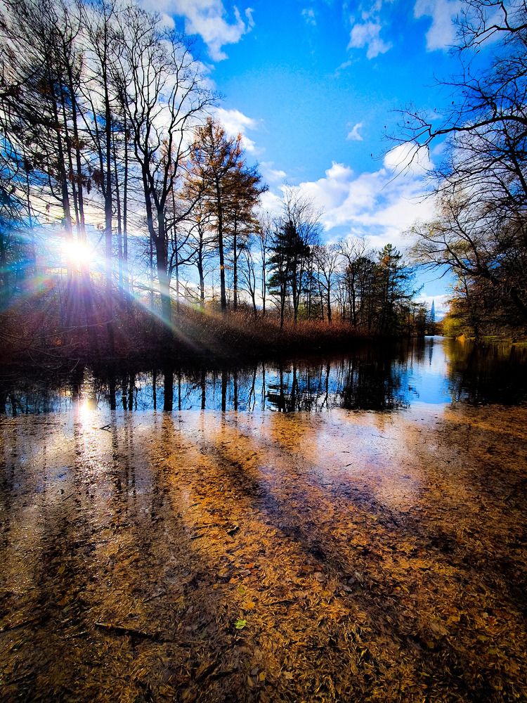 Photograph by Inna Evseeva