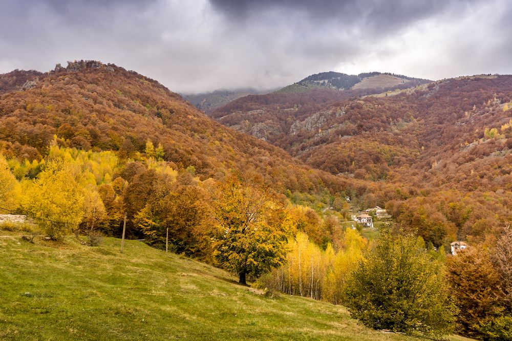 Фотография автора Milena Ivanova