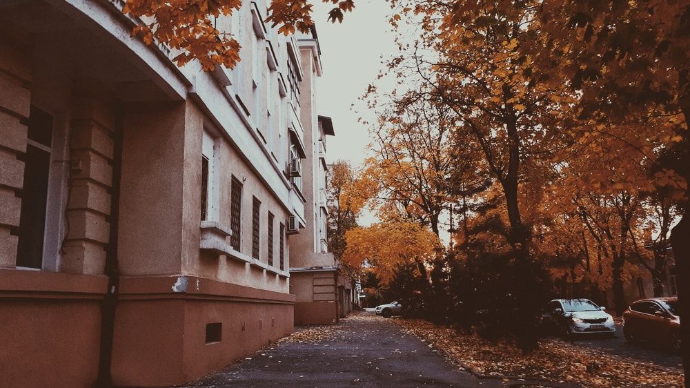 Photograph by Алёна Бондаренко