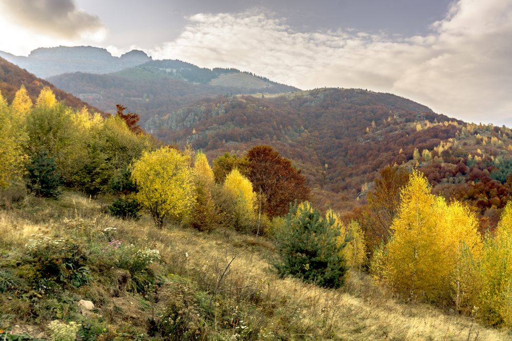 Фотография автора Milena Ivanova