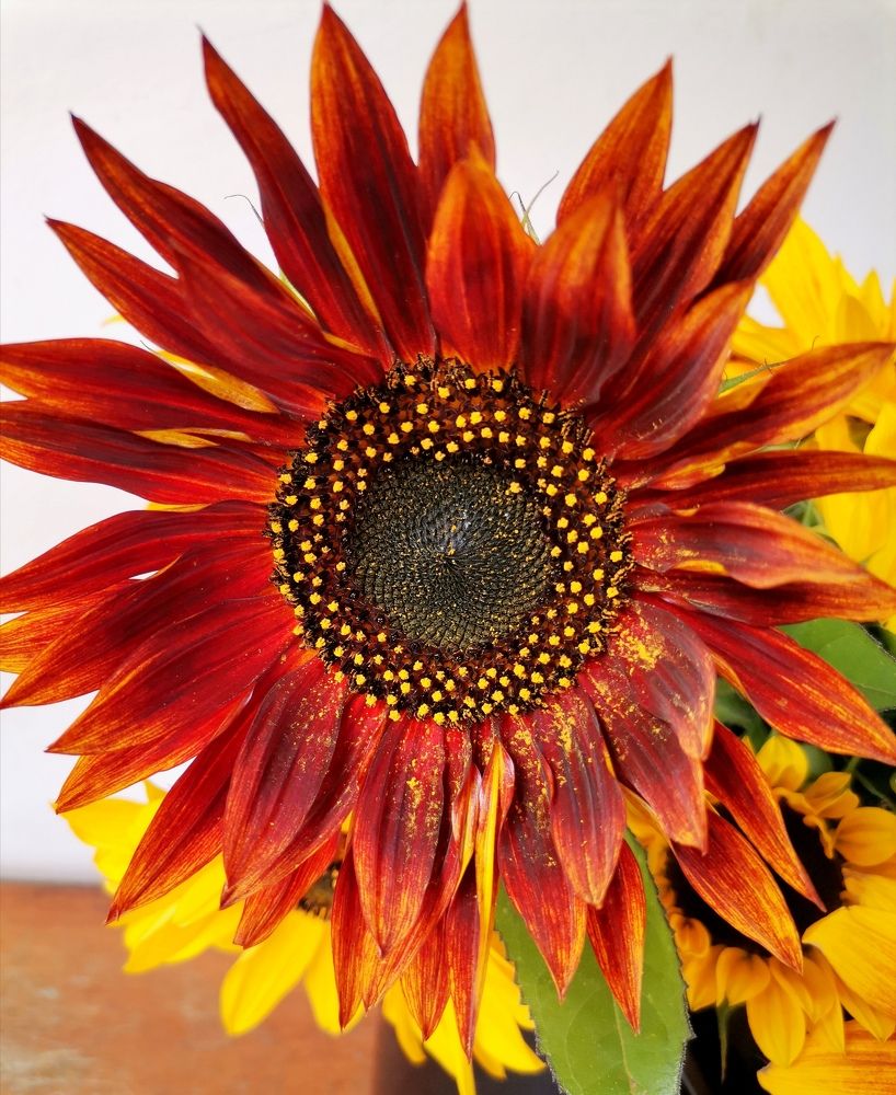 Photograph by Нина Титенкова