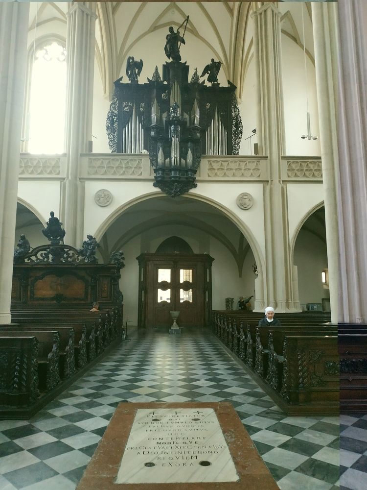 Photograph by Галина Лысых