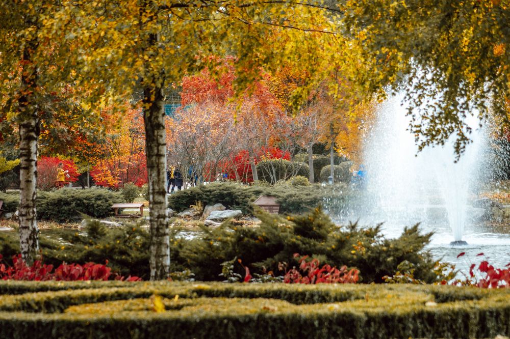 Photograph by Liudmila Kirillova