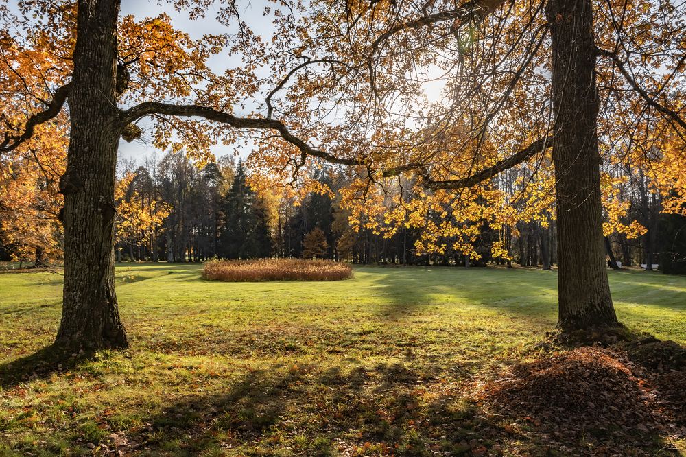 Парк Ораниенбаума