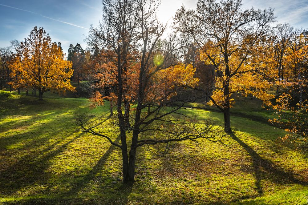 Парк Ораниенбаума