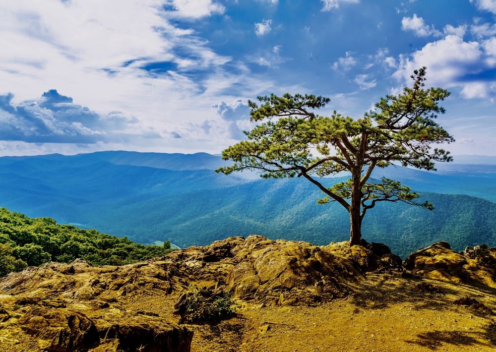 Photograph by Lisa Watkins