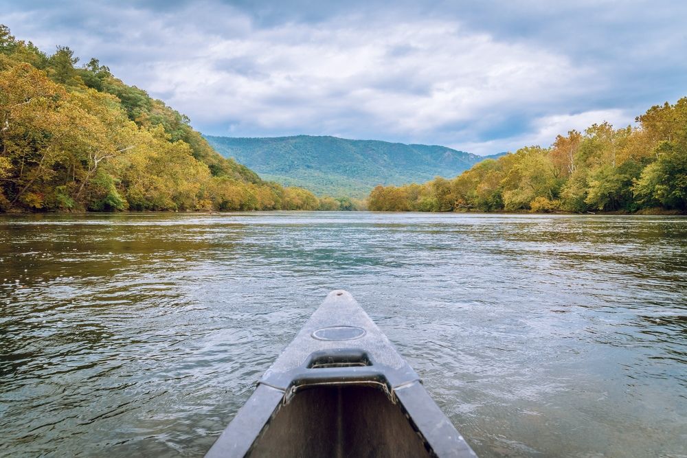 Photograph by Lisa Watkins