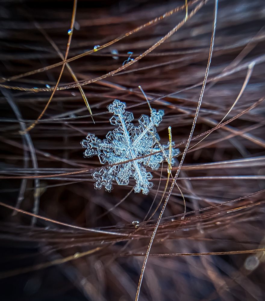 Photograph by Анастасия Чушкова