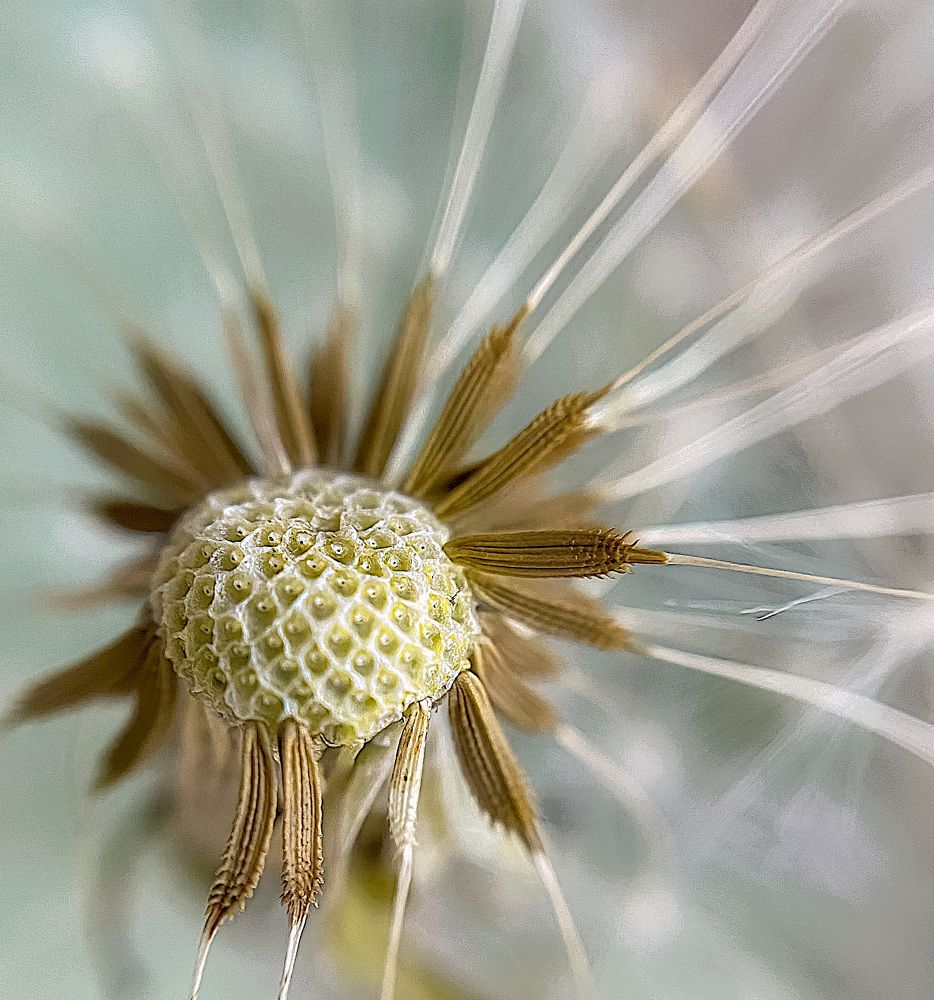 Photograph by Анастасия Чушкова