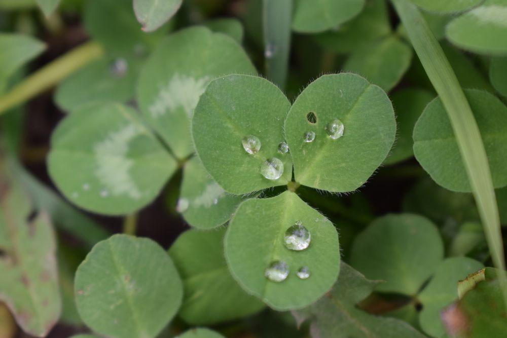 Photograph by Татьяна Дорожко