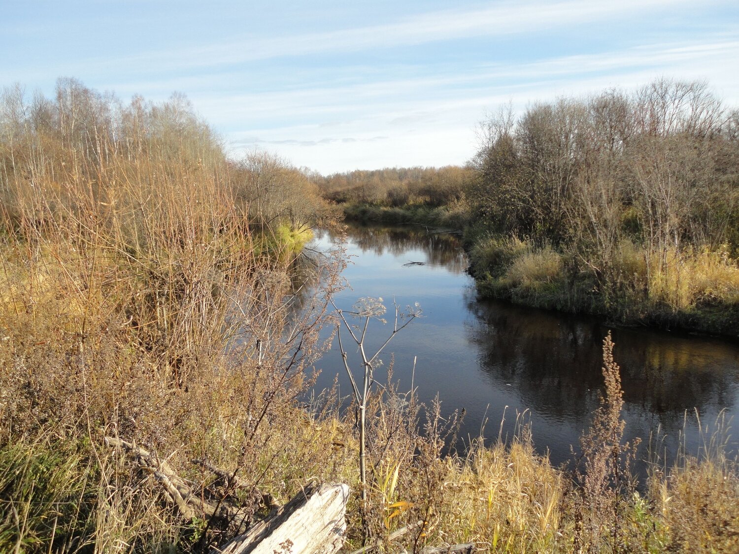 Photo #6625833