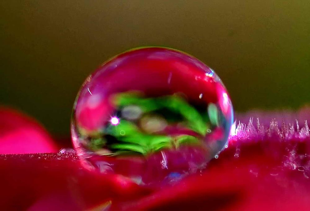 Photograph by Rajesh Dhungana