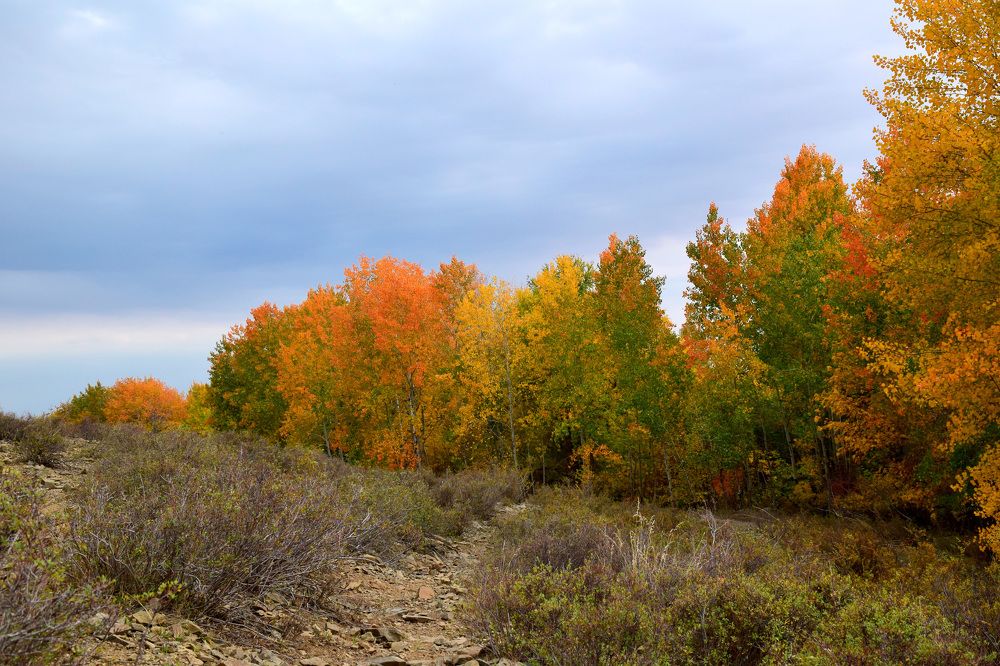 Photograph by Татьяна Дорожко