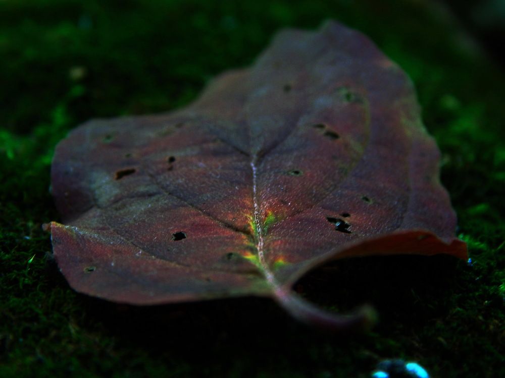 Photograph by Дмитрий Сало