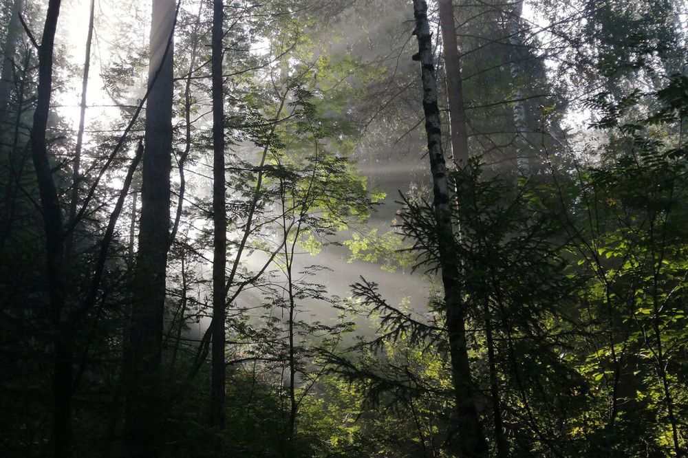 Утро на горе Косатур (Morning on the mountain of Kosatur)