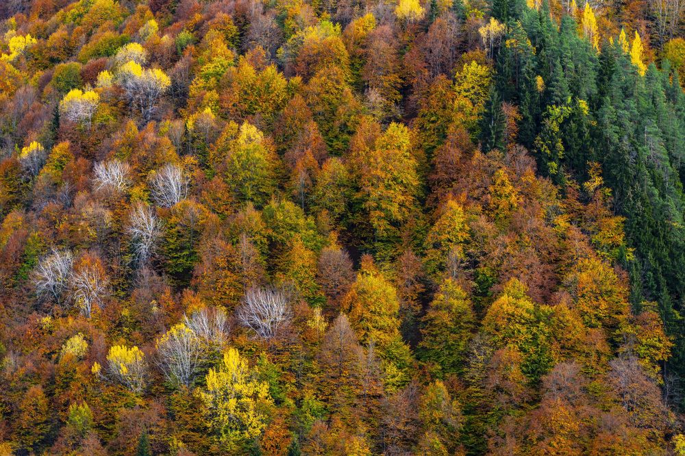 Photograph by Дмитрий RDV