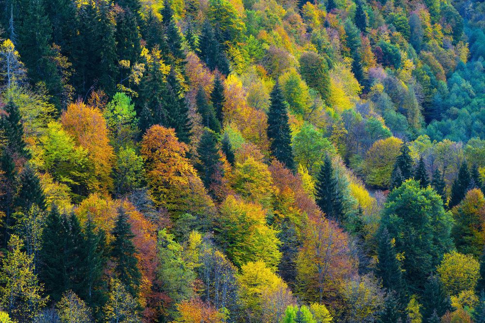 Photograph by Дмитрий RDV