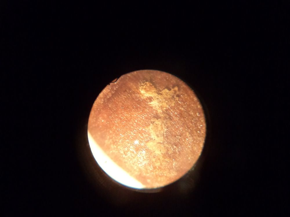 Photograph by Нурлан Кушкунов