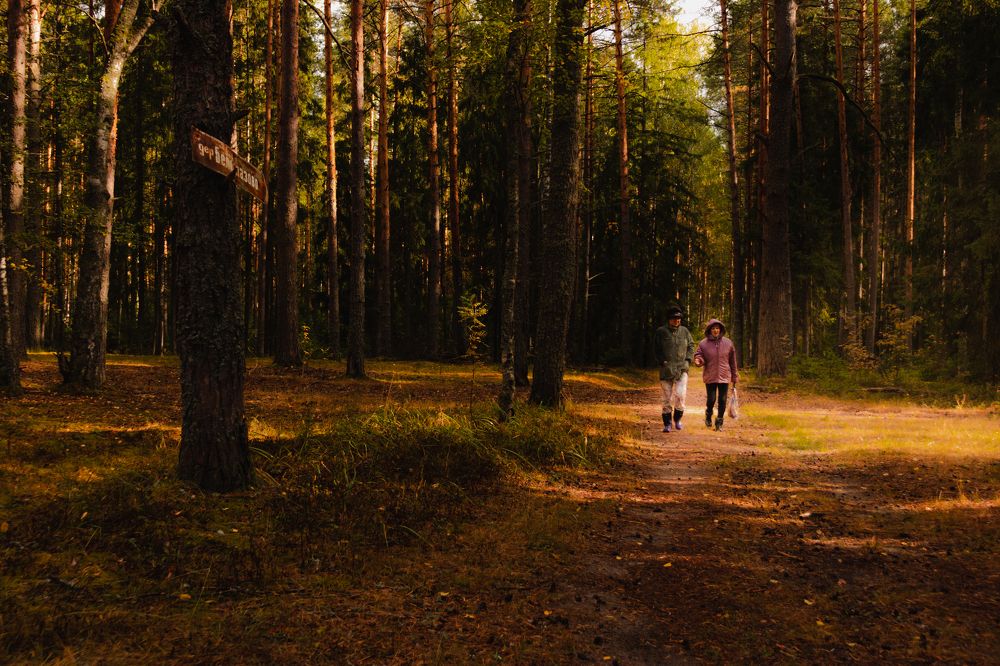 Photograph by Александр Михеев