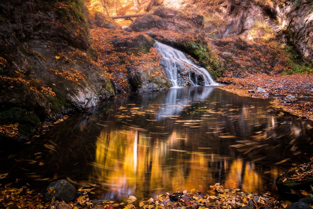 Photograph by Alexandru Handrache