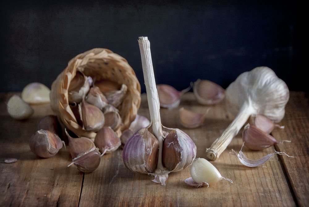 Photograph by Галина Щипакина