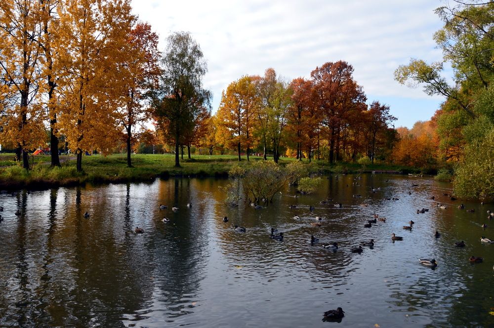 Photograph by Юрий Подвойский