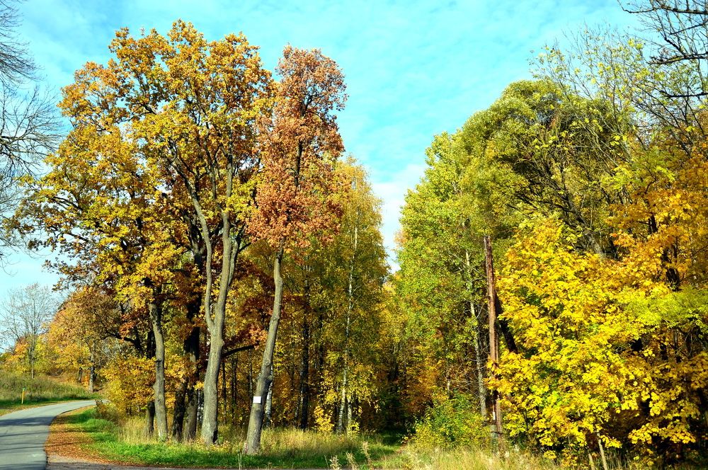 Photograph by Юрий Подвойский