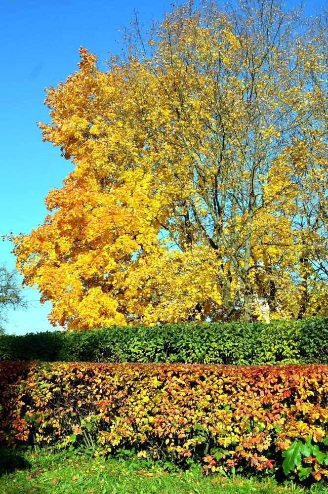 Photograph by Юрий Подвойский